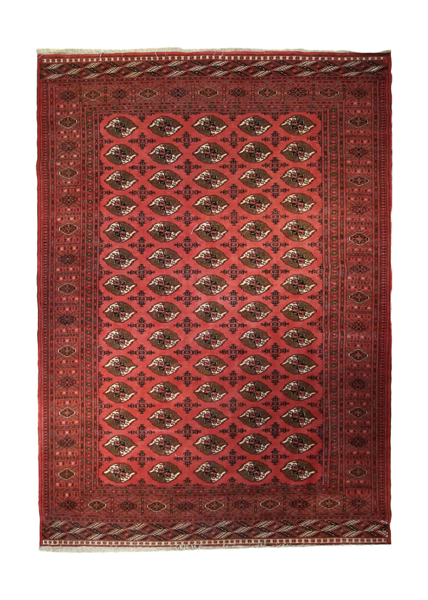 A33271 Persian Rug Turkmen Handmade Area Tribal 7'1'' x 9'6'' -7x10- Red Elephant Foot Bokhara Design