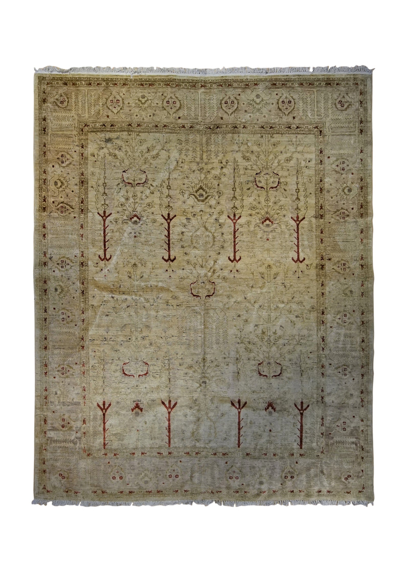 A34495 Oriental Rug Pakistani Handmade Area Transitional 7'11'' x 9'7'' -8x10- Whites Beige Antique Washed Tree of Life Design