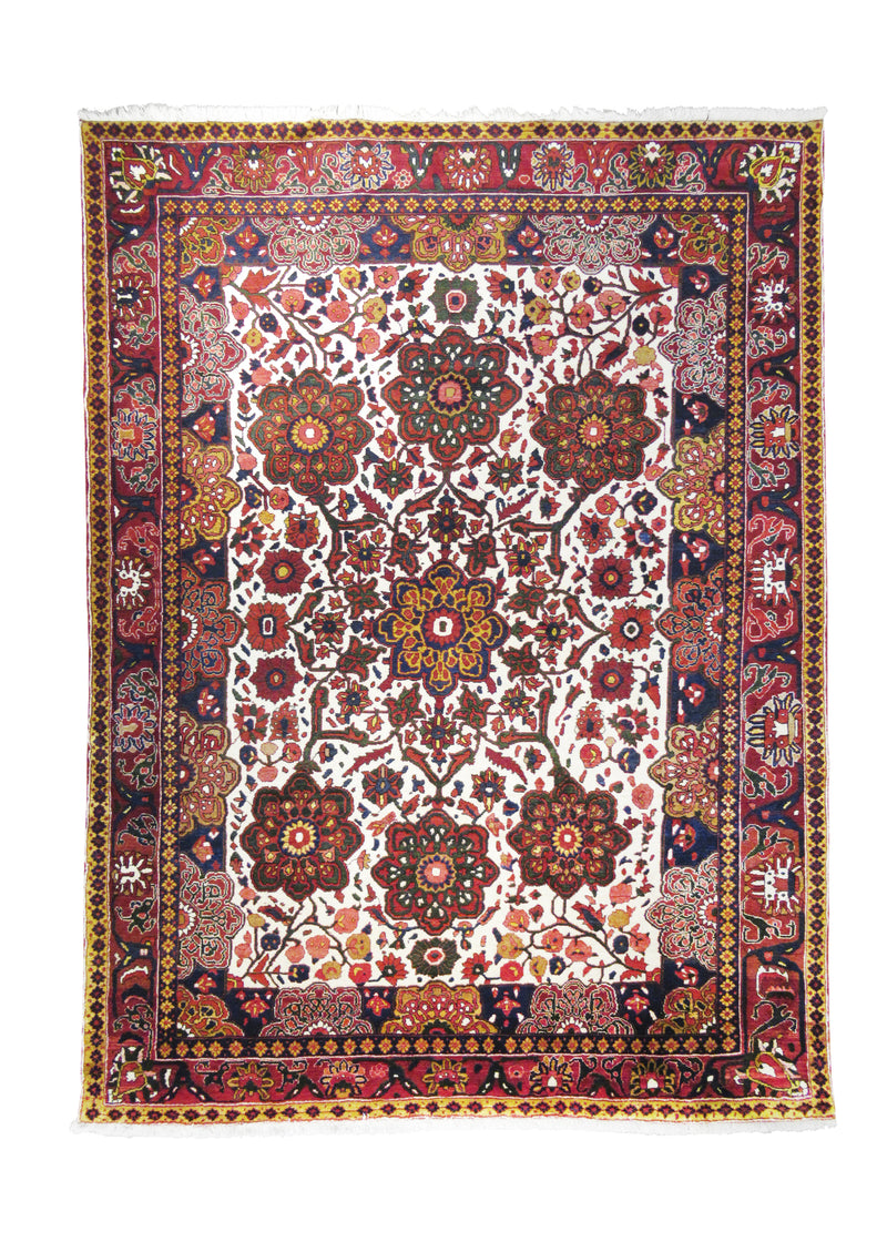 Persian Rug Bakhtiari Handmade Area Tribal 7'4"x10'4" (7x10) Whites/Beige Red Floral Design #A20721