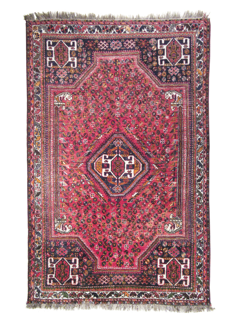 Persian Rug Shiraz Handmade Area Tribal 5'6"x8'6" (6x9) Red Floral Design #A25091