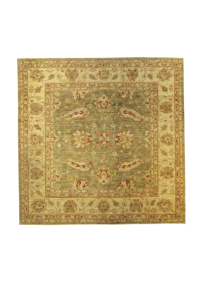 Oriental Rug Pakistani Handmade Square Transitional 6'6"x6'7" (7x7) Green Whites/Beige Antique Washed Oushak Floral Design #A27423