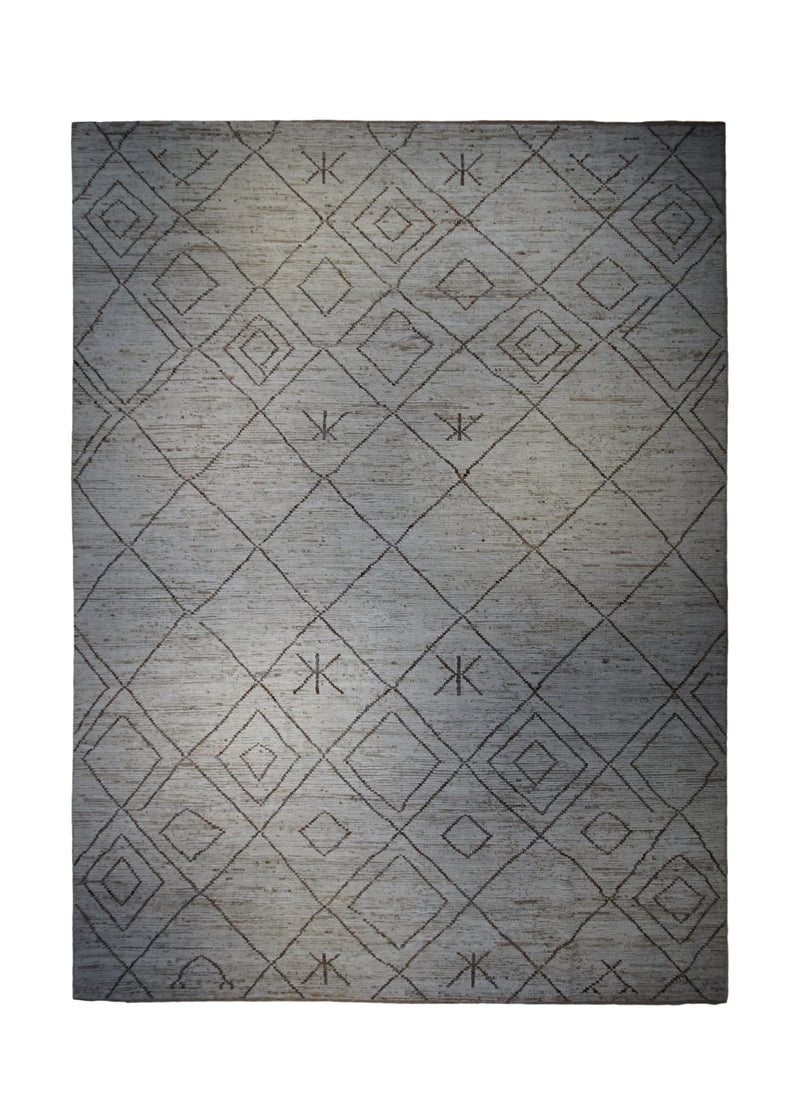 A32722 Oriental Rug Pakistani Handmade Area Transitional 10'4'' x 13'11'' -10x14- Whites Beige Brown Moroccan H&S Geometric Design