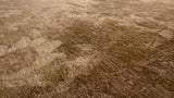 Oriental Rug Pakistani Handmade Area Transitional 8'0"x10'0" (8x10) Whites/Beige Yellow/Gold Oushak Floral Design #17415