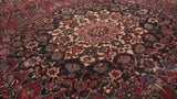Persian Rug Bakhtiari Handmade Area Tribal 10'7"x15'0" (11x15) Red Blue Floral Design #34887