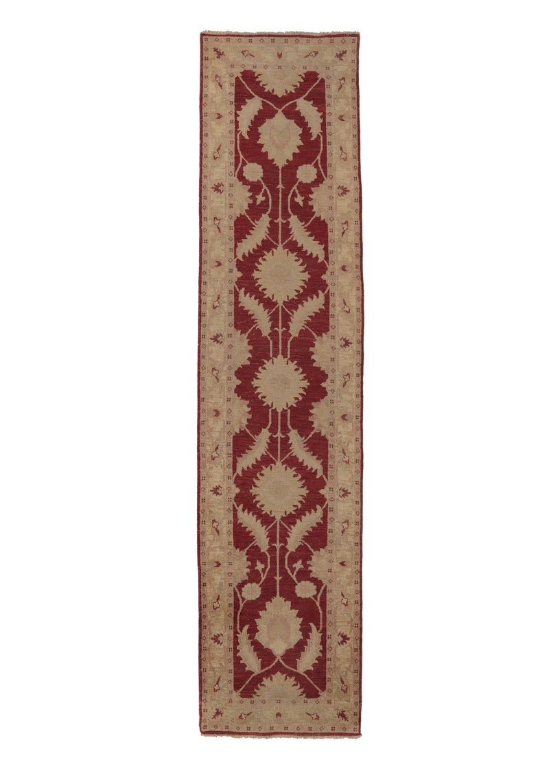32459 Oriental Rug Pakistani Handmade Runner Transitional 2'9'' x 13'8'' -3x14- Whites Beige Red Oushak Design