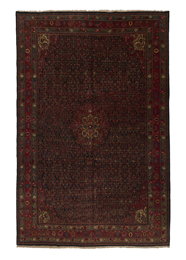 33426 Persian Rug Bijar Handmade Area Antique Traditional 10'7'' x 16'7'' -11x17- Blue Red Green Gol Farang Herati Design