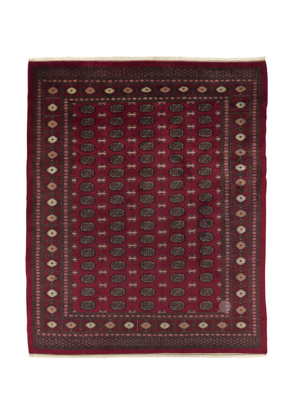 33674 Oriental Rug Pakistani Handmade Area Tribal 8'4'' x 10'1'' -8x10- Red Bokhara Design