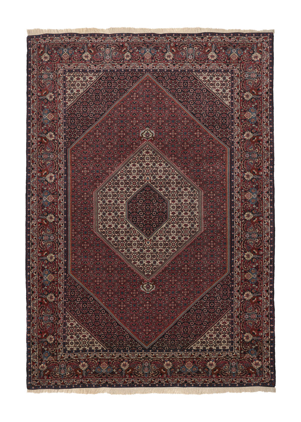 35763 Persian Rug Bijar Handmade Area Traditional 6'9'' x 9'9'' -7x10- Red Whites Beige Herati Design